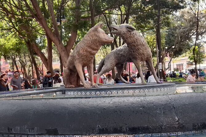 Tour to Xochimilco and Coyoacan and Frida Khalo - Who Will Love This Tour?