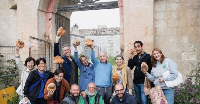Tour tra i Templi dell'Olio e gli Olivi Patriarchi - A Deep Dive into the Experience