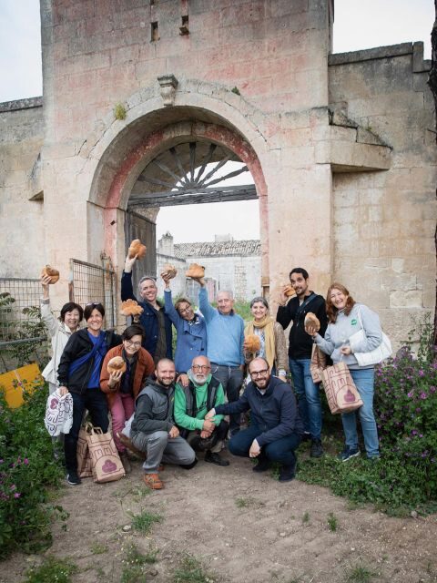 Tour tra i Templi dell'Olio e gli Olivi Patriarchi - Frequently Asked Questions