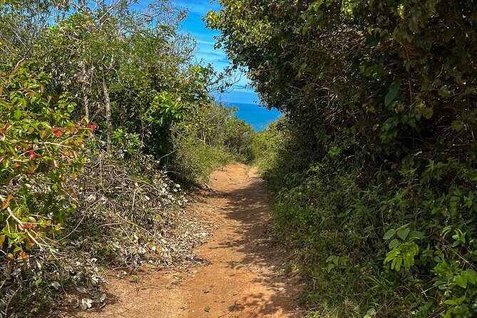 Tour Trail Praia da Gravatá with Picnic in Florianópolis - Authenticity and Value