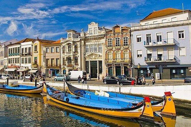 Tour / Transfer Lisbon Porto or Porto Lisbon - In-Depth Look at the Experience