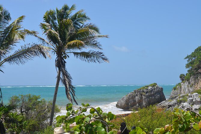 Tour Tulum, Cenote and Swim with Turtles in Akumal - A Deep Dive into the Experience