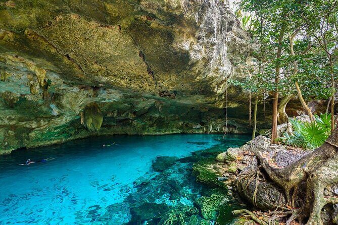 Tour Tulum Xtreme zip line abseiling and adventure in cenote - The Sum Up: A Well-Rounded Adventure for Curious Explorers