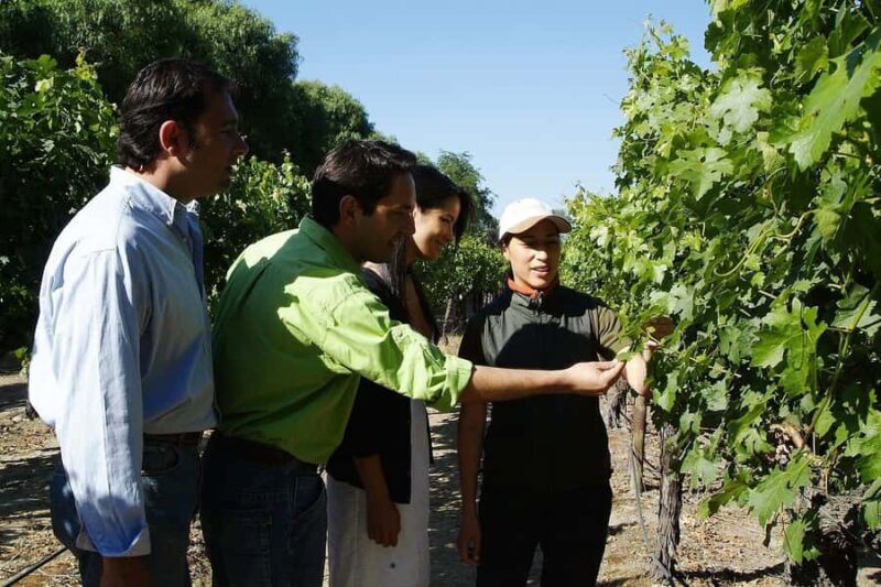 Tour VIÑA CONCHA Y TORO + CASA MARQUES - Chile, from Santiago. - FAQ