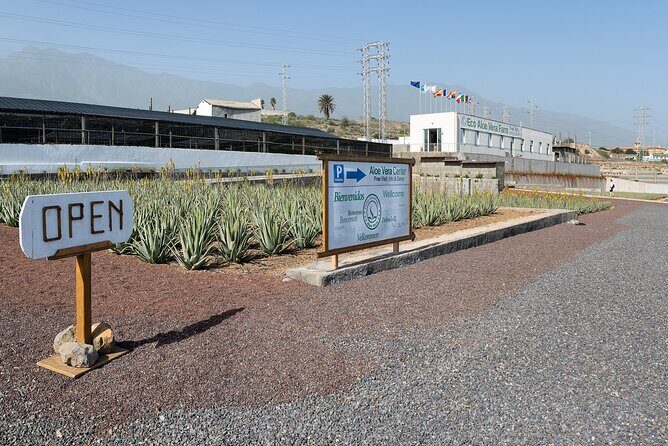 Tour Visiting banana plantation and winery in Tenerife - Why This Tour Works Well for You