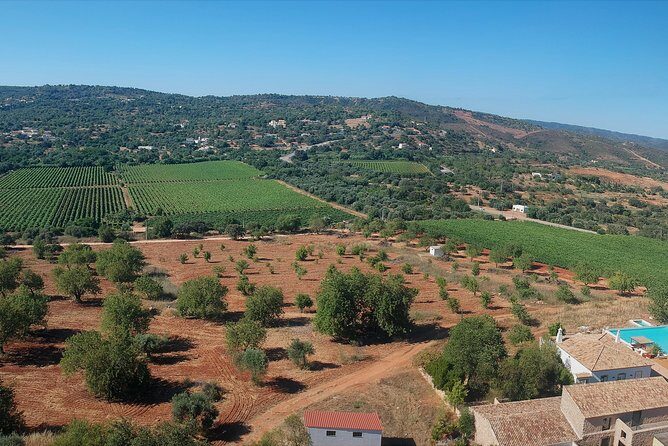 Tour & Wine tasting - Authentic Algarve Flavours by Quinta da Tôr - Why This Tour Works Well for Travelers