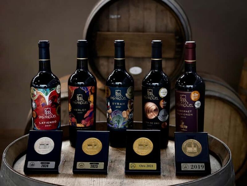 Tour & Wine Tasting San Miguel Vineyard / San Miguel Experience - Key Points