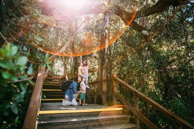 Tour with Navigation to the Arrayanes Forest and Victoria Island - Key Points