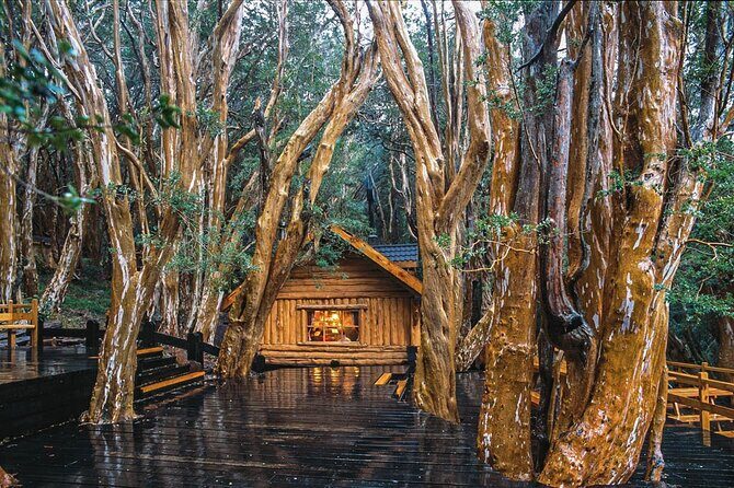 Tour with Navigation to the Arrayanes Forest and Victoria Island - Who Will Love This Tour?