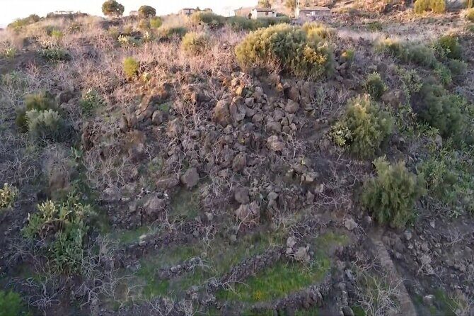 tour with tasting in the Bronte pistachio plantations - Exploring the Sicilian Pistachio Landscape: What the Tour Offers