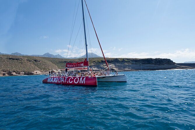 Tour with Whale and Dolphin Watching plus food included - An In-Depth Look at the Whale and Dolphin Watching Tour in Tenerife