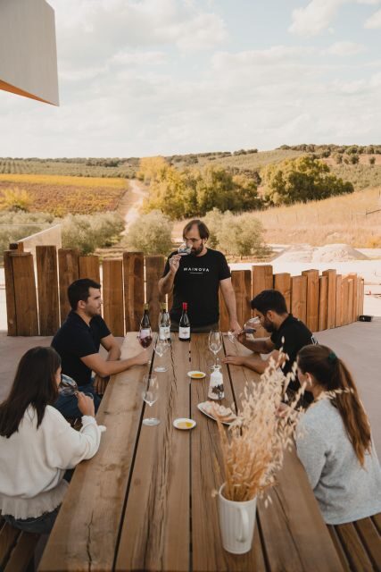 Tour with Wine and Olive Oil Tasting - Practical Details and Tips