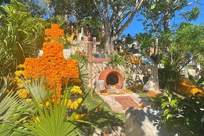 Tour Xcaret All Inclusive from Playa del Carmen - Included Transportation - FAQ: Your Questions Answered