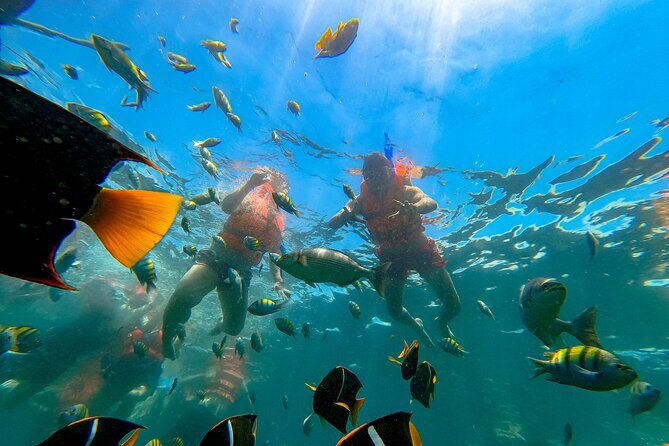 Tour Yelapa and Majahuitas with Lunch and Open Bar - Exploring Puerto Vallarta’s Yelapa and Majahuitas: Full Details