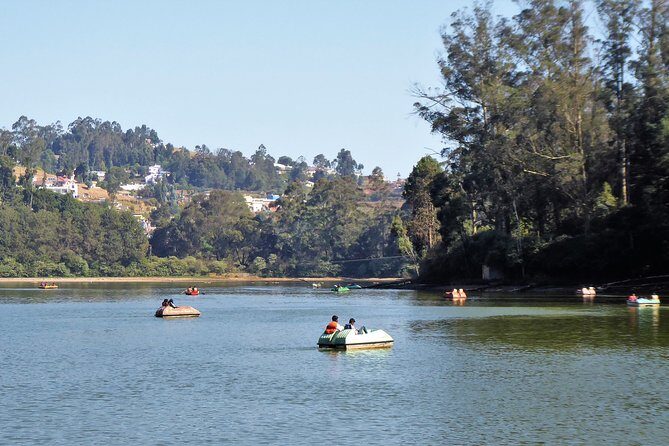 Touristic Highlights of Ooty (Guided Full Day City Sightseeing Tour by Car) - A Word of Caution: Consider the Cost