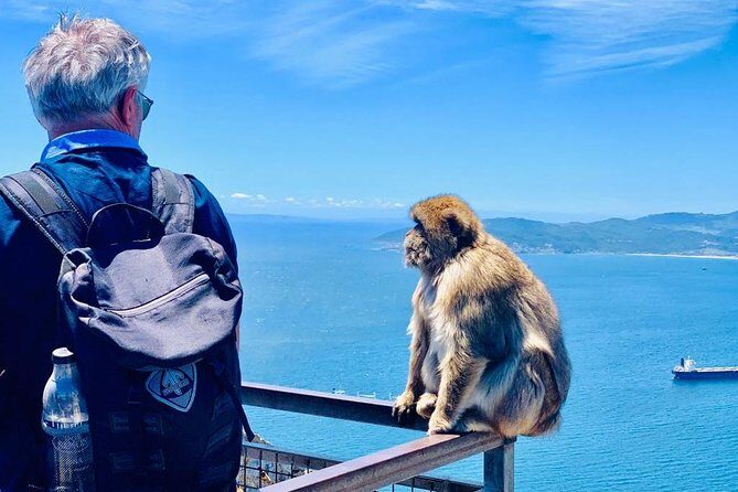 Tours of Gibraltar - STANDARD TOUR - An In-Depth Look at the Gibraltar Standard Tour