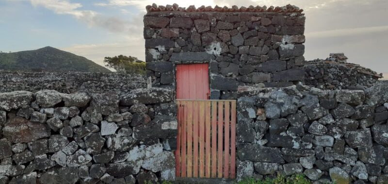 Tours on Pico Island - Cultural and Natural Landscape - An In-Depth Look at Pico’s “Cultural and Natural Landscape” Tour