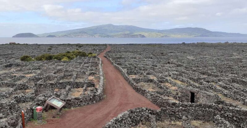 Tours on Pico Island - Cultural and Natural Landscape - Who Should Consider This Tour?