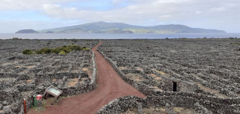 Tours on Pico Island - Cultural and Natural Landscape - FAQ: Your Practical Questions Answered