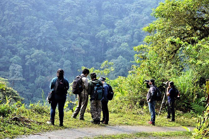 Tours Reserva biológica Buenaventura (Jocotoco) - Key Points