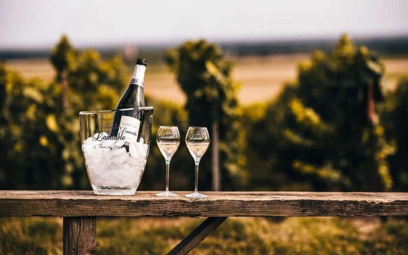 Tours-sur-Marne: Cellar Tour & Champagne Tasting - A Closer Look at the Experience
