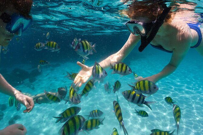 Tours_Miami_Day Trip To Key West From Miami_D662 38439P1 Review - A Deep Dive into the Miami-to-Key West Experience