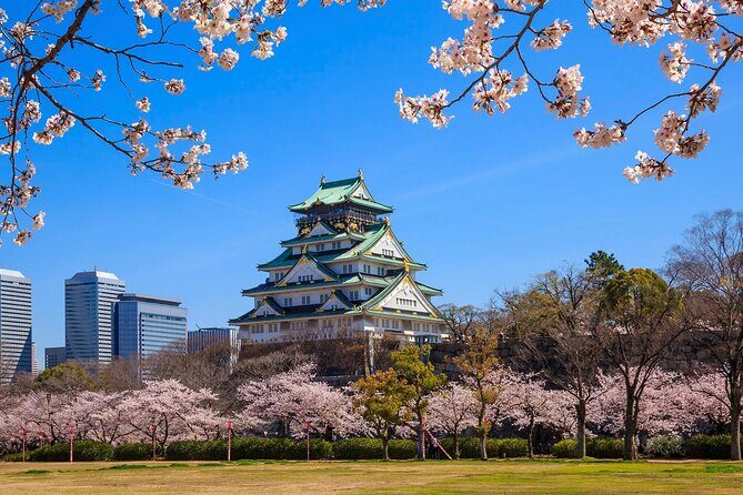 Tours_Namba_One Way Osaka Int Airport Itm To From Osaka_D51459 131112P335 Review - Why This Service Works for You