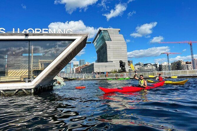 Tours_Oslo_Oslo Sea Kayak Tour_D902 140628P3 Review - Final Thoughts