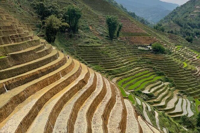 Tours_Sapa_Sapa Trekking Experience Trekking Through Terraced Rice Fields_D50492 250466P141 Review - Who Will Love This Tour?