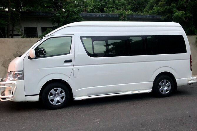 Tous/excursión/puerto plato,los 27 charcos de damajagua tour - In-Depth Look at the Damajagua Waterfalls Tour