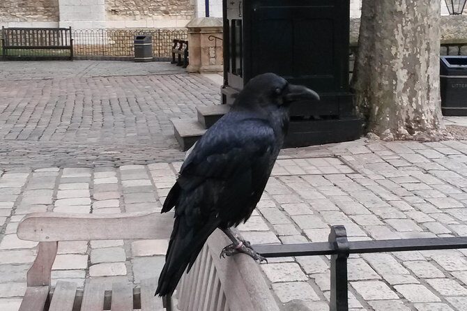 Tower of London and Tower Bridge Private Tour - Key Points