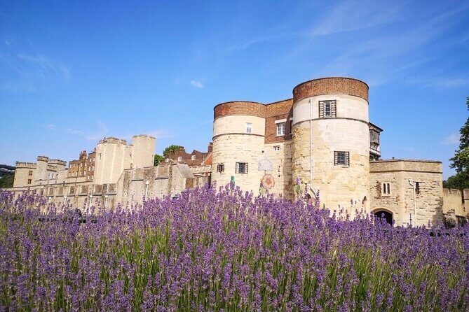 Tower of London Private Tour for Families and Friends - Final Thoughts