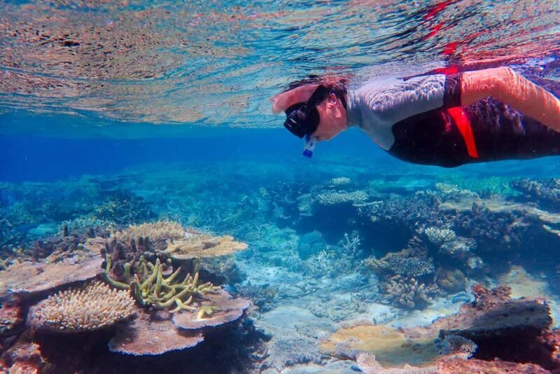 Townsville: Great Barrier Reef and MOUA Snorkeling Day Tour - Final Thoughts: Who Will Benefit Most?