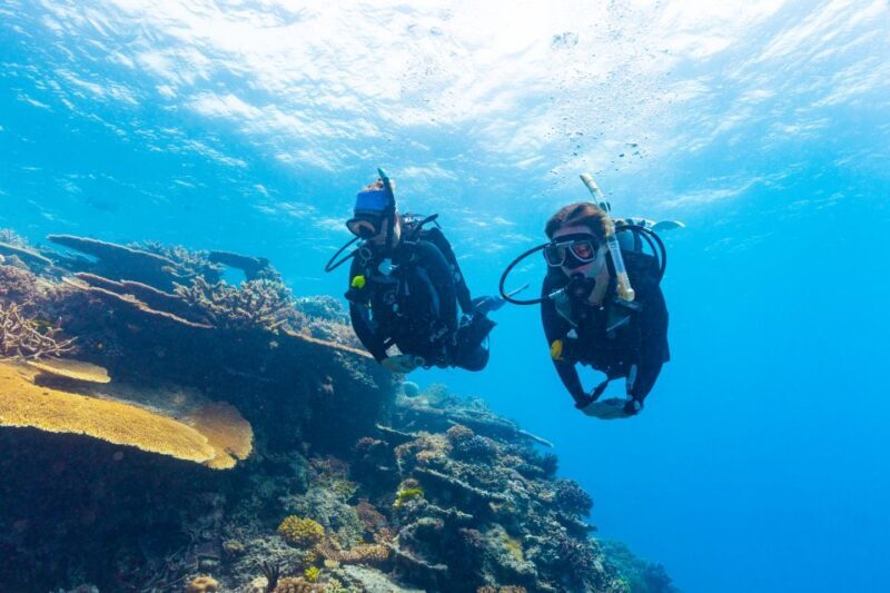 Townsville & Magnetic Island: MOUA & Great Barrier Reef Trip - A Thorough Look at the Experience