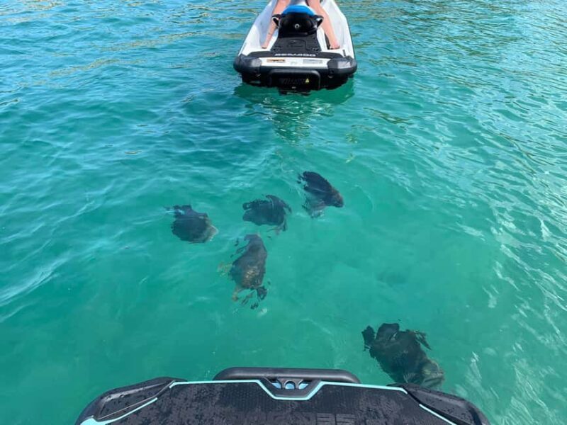 Townsville: Magnetic Island Snorkeling by Jet Ski - The Sum Up