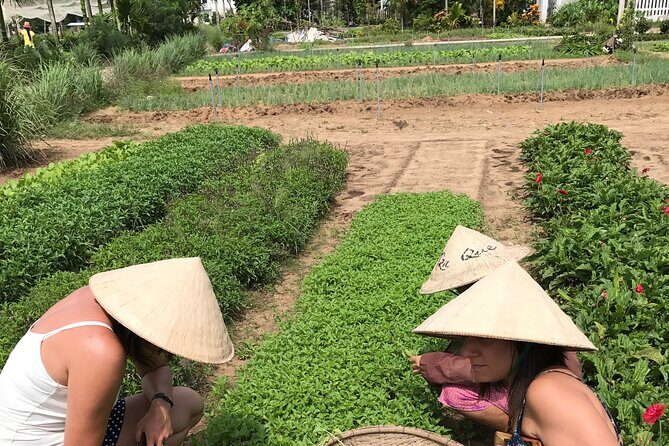 Tra Que Village Cycling And Farming - FAQs: Your Practical Questions Answered