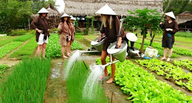 Tra Que Village Vegetable Farm Experience by Bike - An Authentic Day in the Vietnamese Countryside