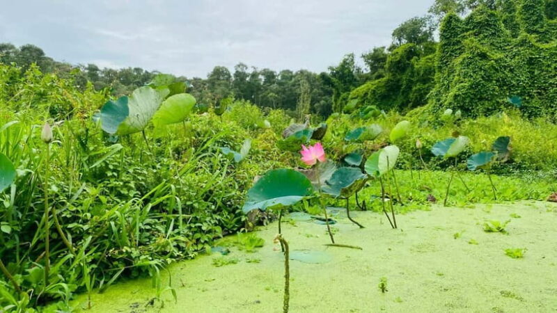 Tra Su Forest Full Day Tour From Can Tho city - Practical Tips for Your Trip