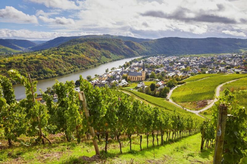 Traben-Trarbach / Bernkastel-Kues, Moselle: Wine experience hike - Authentic Experiences and Why They Matter