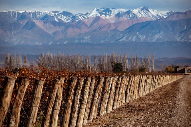 Traditional Aconcagua Mountain Tour - An In-Depth Look at the Traditional Aconcagua Mountain Tour