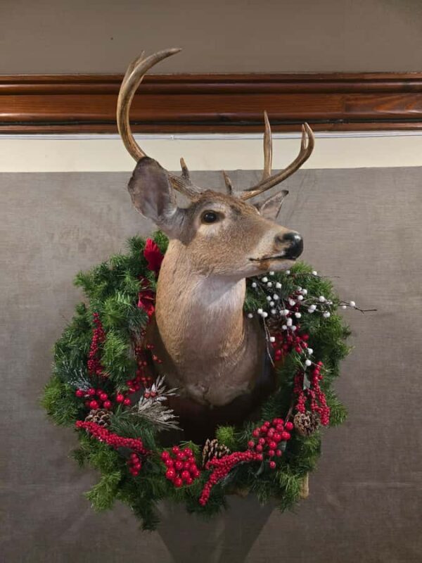 Traditional Cantina Tour with Drinks in Downtown Monterrey - FAQs