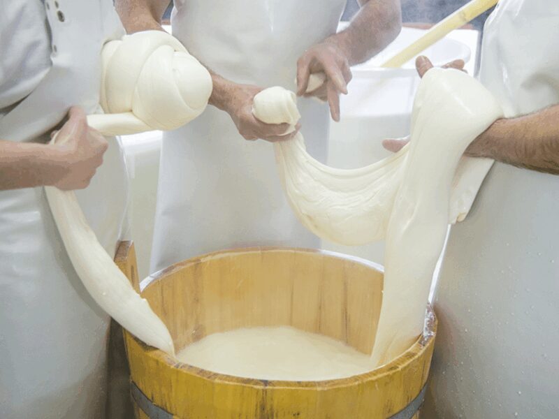 Traditional Cheese Factory Visit with Tasting near Isernia - Key Points