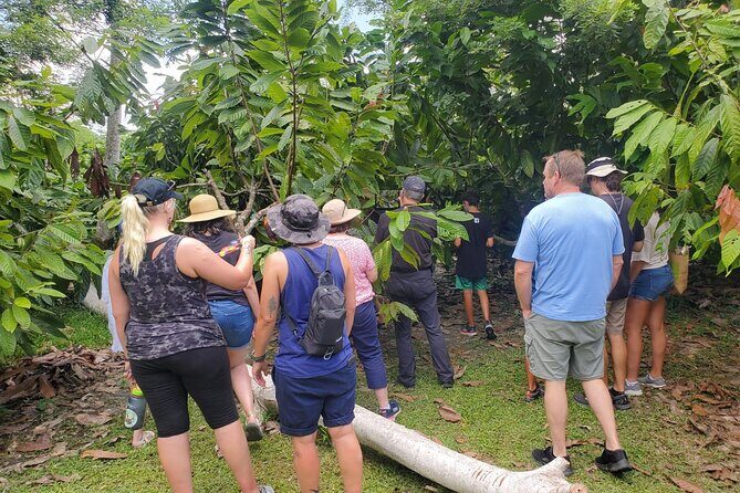 Traditional Chocolate Making in Belize - Key Points