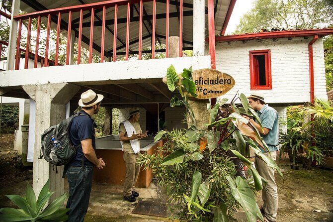 Traditional Coffee Farm Experience at Hacienda Coloma from Bogotá - In-Depth Review of the Coffee Farm Experience