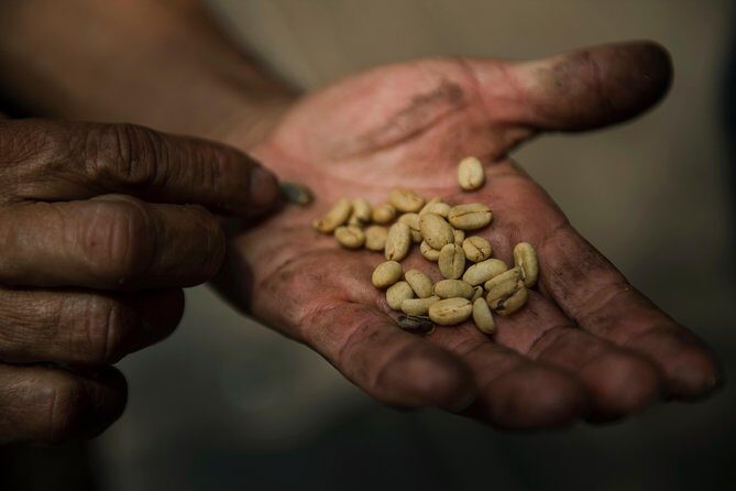 Traditional Coffee Farm Experience at Hacienda Coloma from Bogotá - Final Thoughts