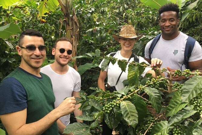 Traditional Coffee Tour, Nature & Birds - Key Points