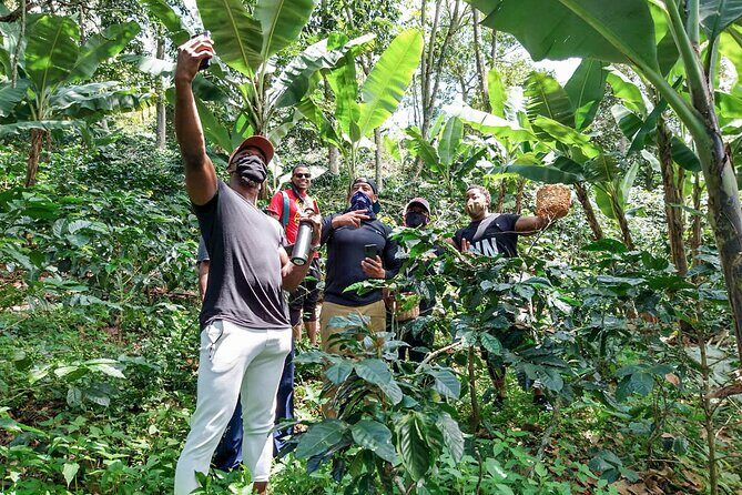 Traditional Coffee Tour, Nature & Birds - The Value of the Experience