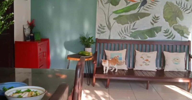 Traditional Cooking Class Local Home Green Fishsauce Kitchen - Who Is This Class Best Suited For?