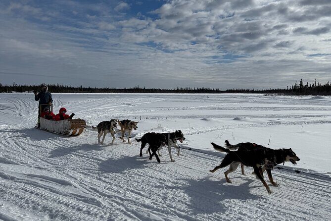 Traditional Dog Sledding Adventure in Yellowknife - Key Points