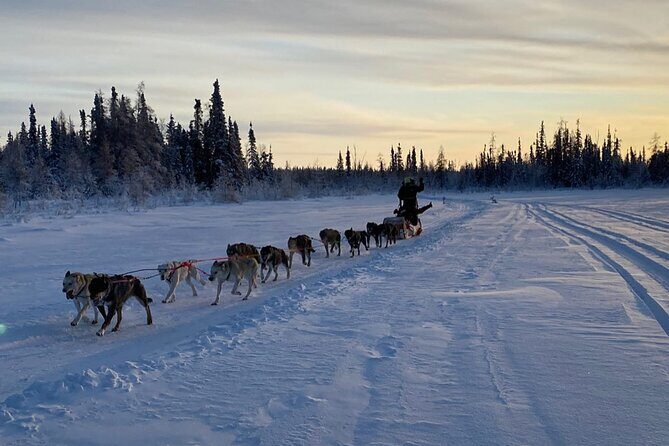 Traditional Dog Sledding Adventure in Yellowknife - Who Will Love This Tour?